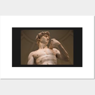 David by Michelangelo Posters and Art